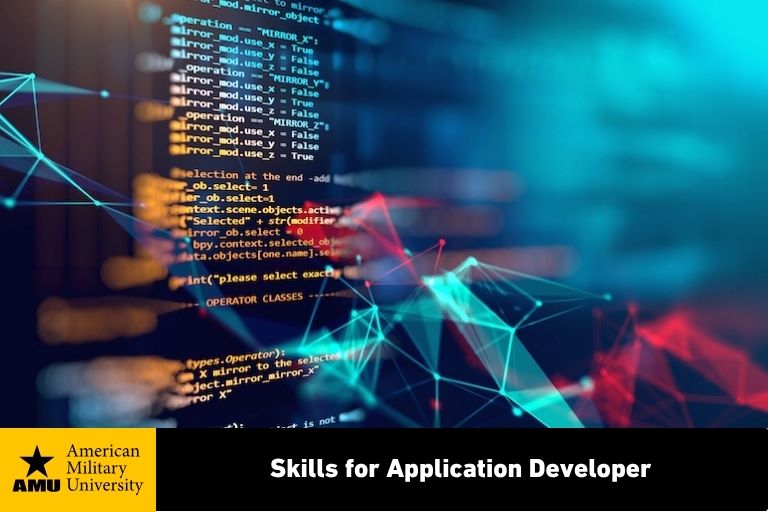 application-developer skills for application developer