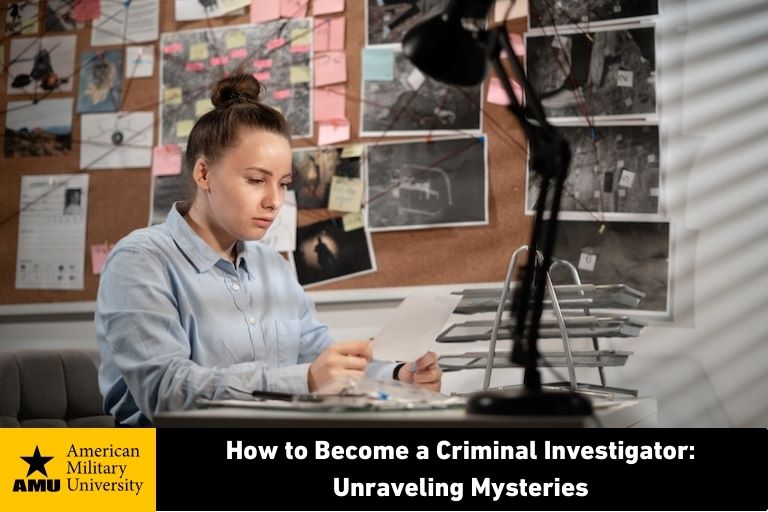 criminal investigator reviewing data