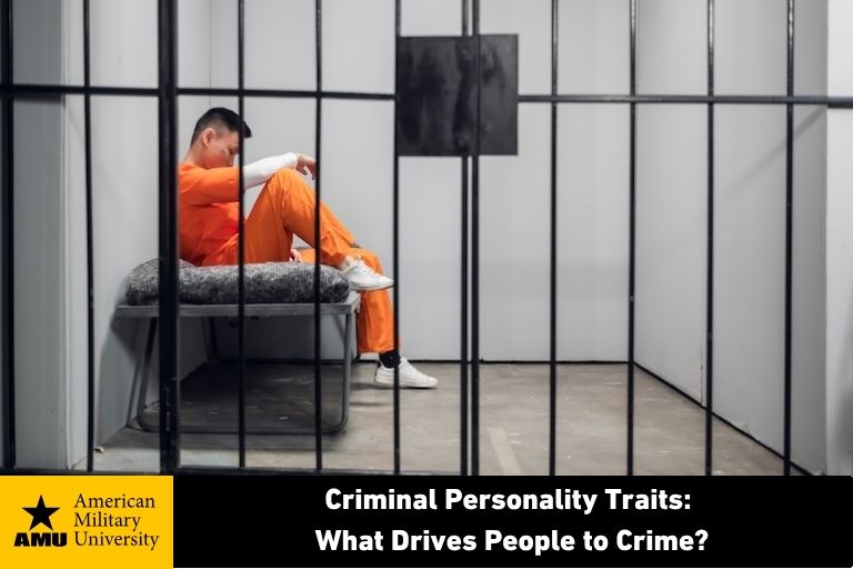 criminal in jail cell