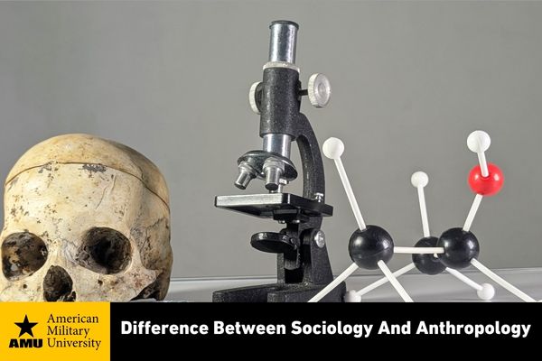 difference-between-sociology-and-anthropology difference between sociology and anthropology