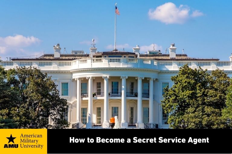secret service agent's view of the white house