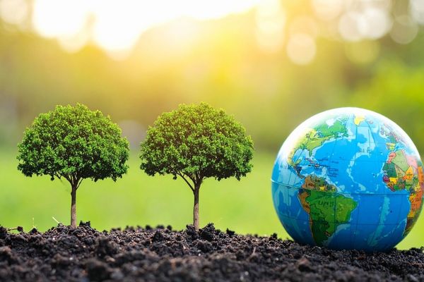 environmental science scene with globe near trees