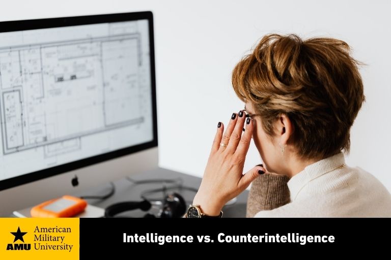 intelligence professional reviewing data on computer