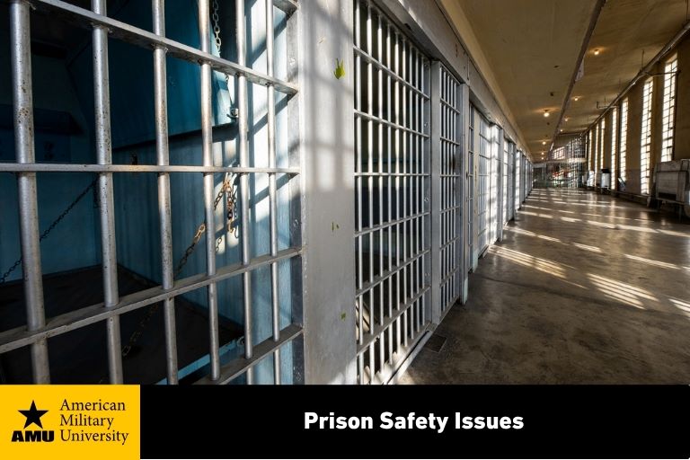prison-safety-issues prison safety issues