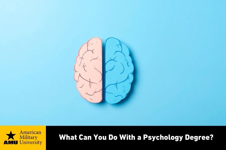 what-can-you-do-with-a-psychology-degree illustration of human brain