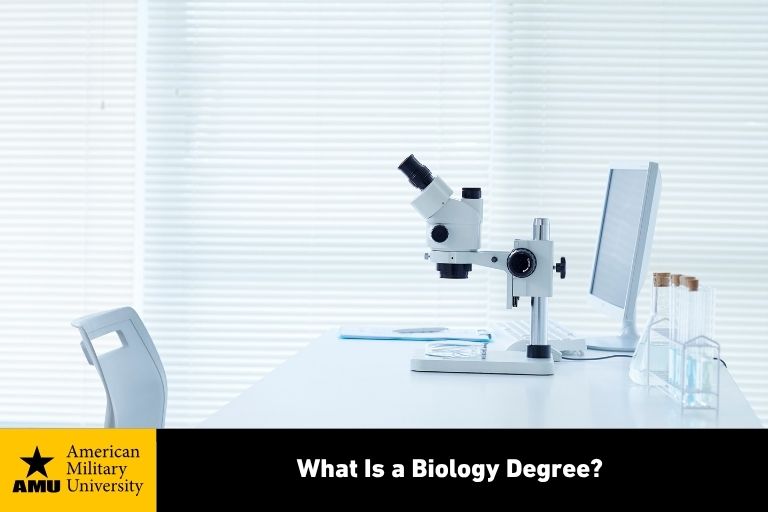 What is a biology degree?