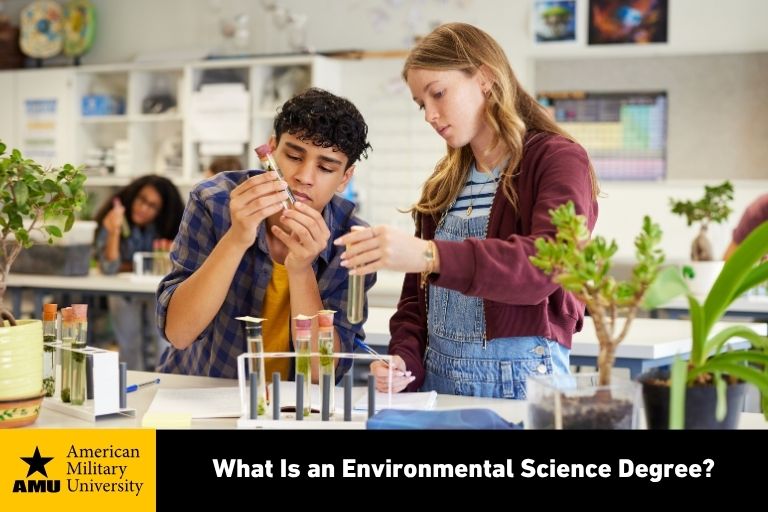 environmental science degree students working in labratory with plants