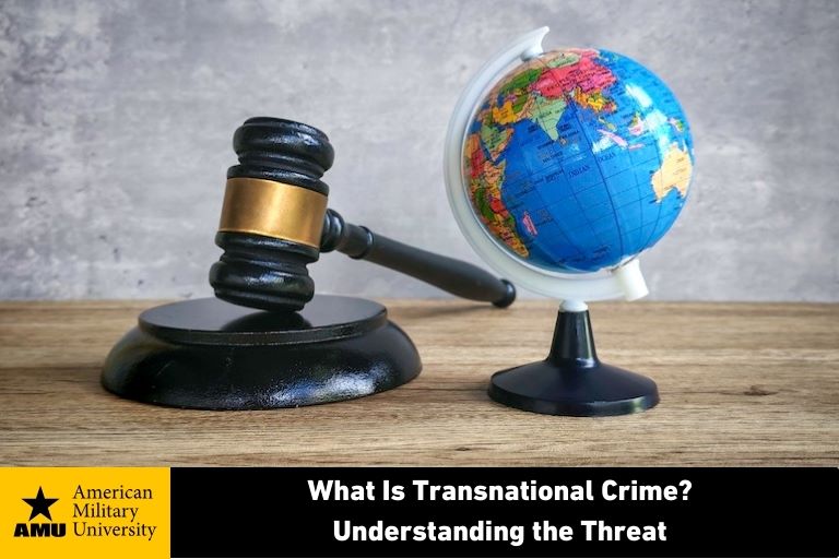 whats-transnational-crime gavel and globe