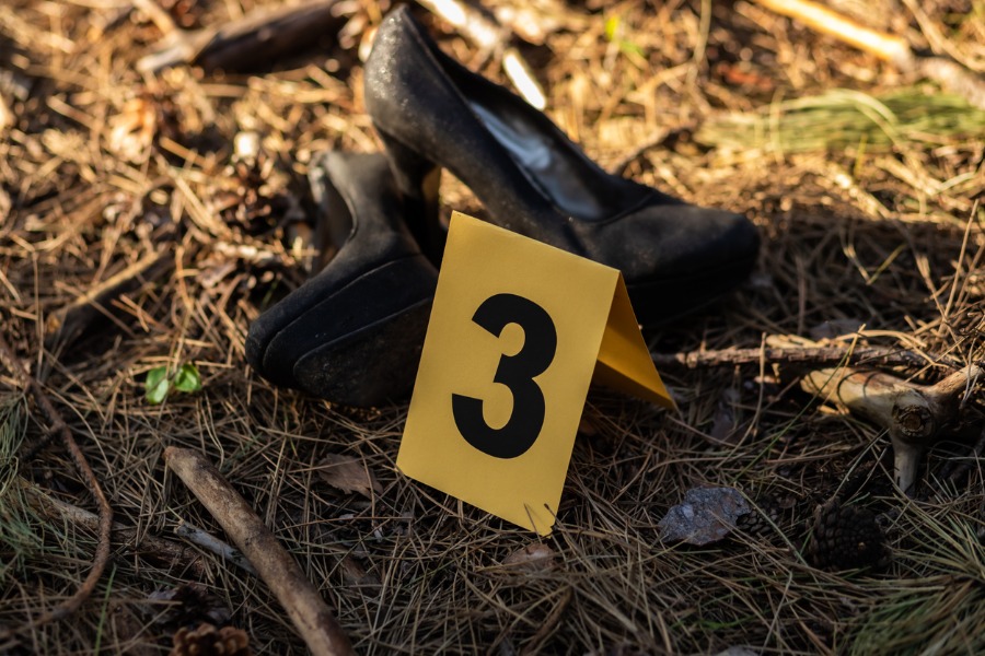 crime scene marker number 3 near high heeled shoes in forest